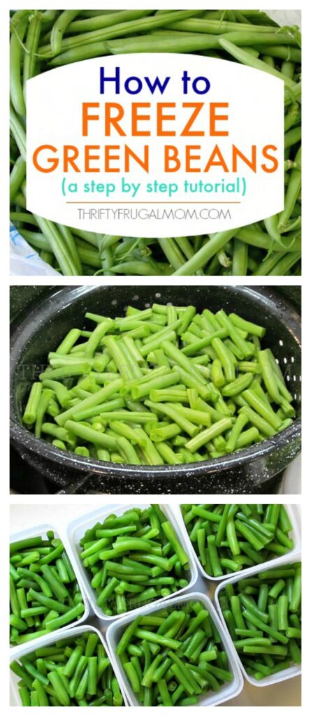 How to freeze fresh green beans
