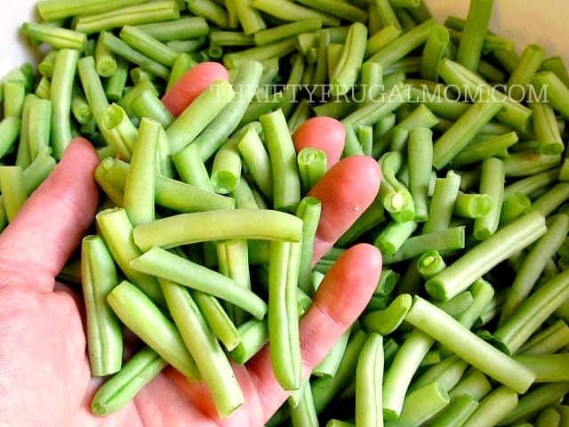 freezing fresh green beans