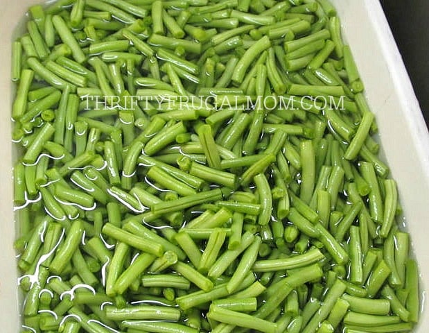 How to Freeze Green Beans (water)