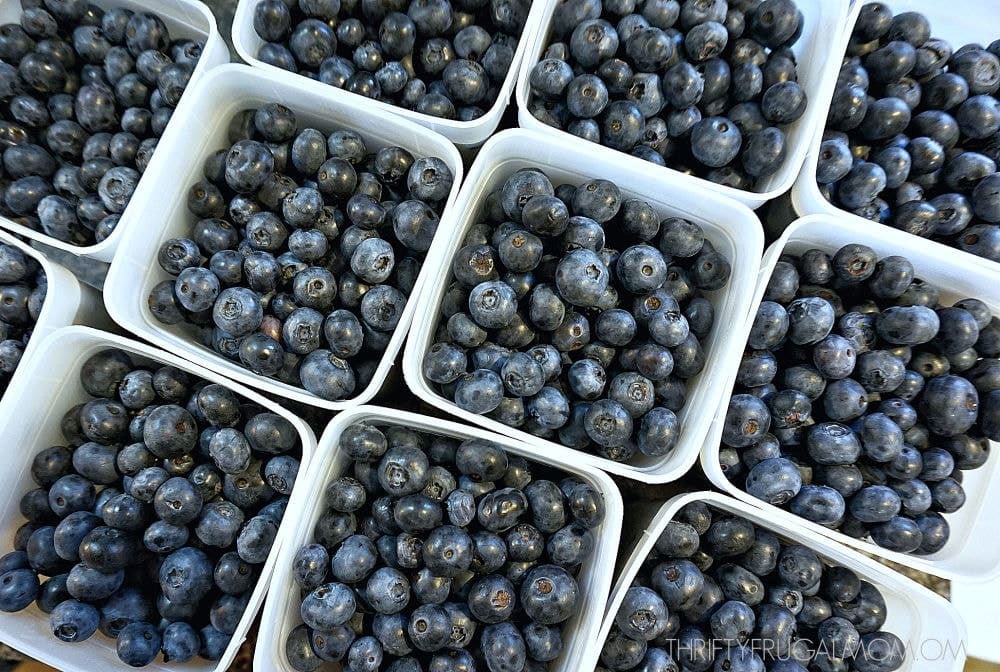 fresh blueberries ready to freeze in freezer containers
