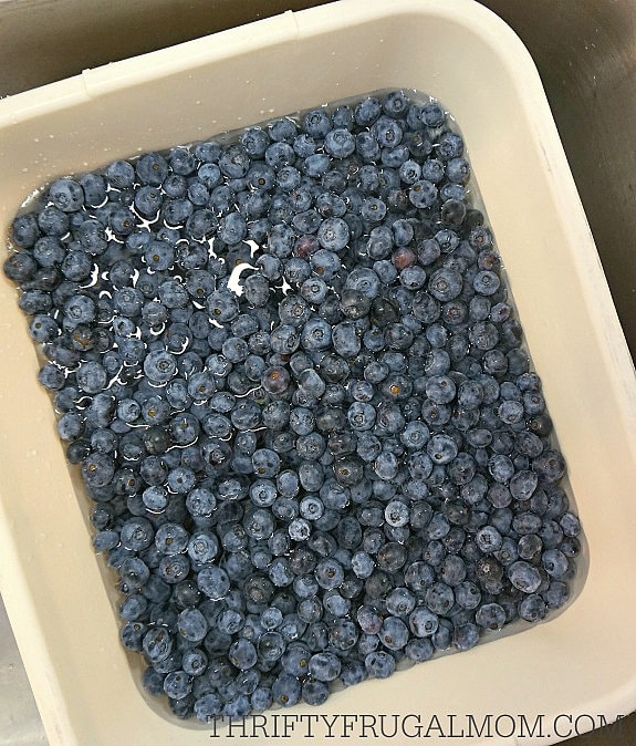 how to wash blueberries