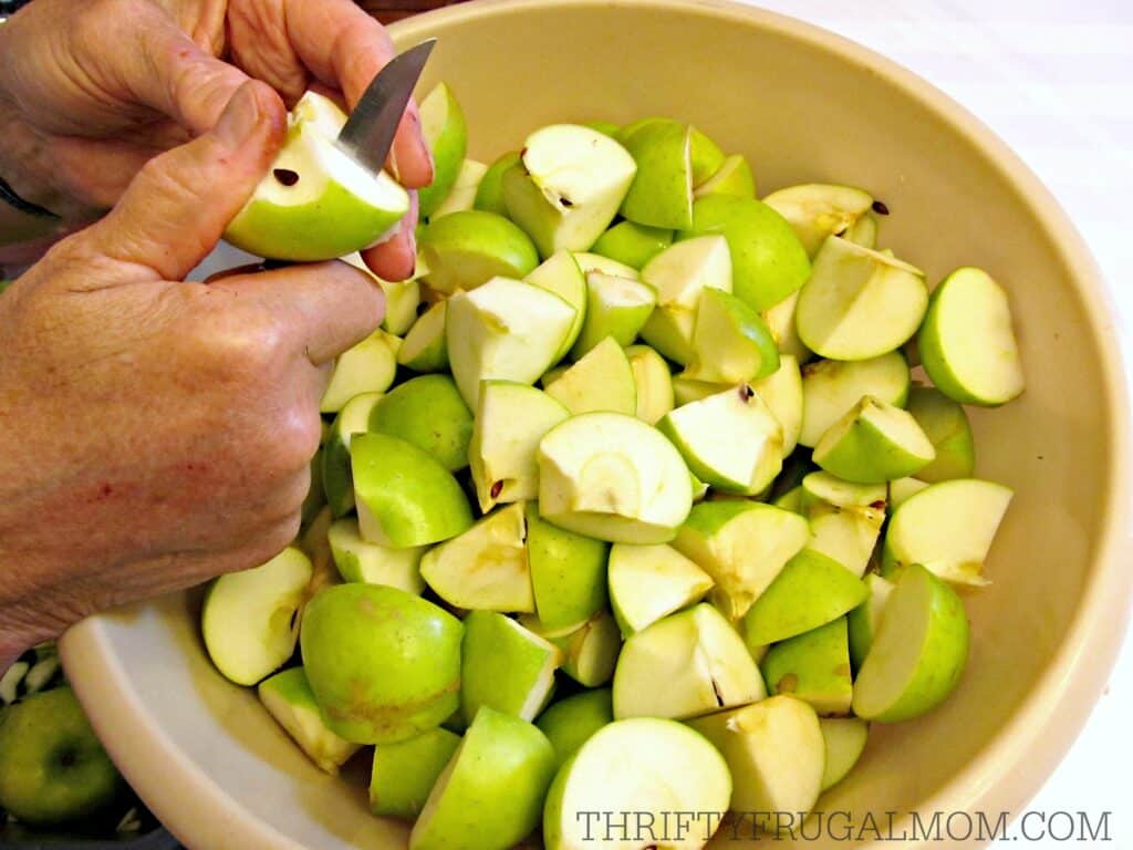 Canning Homemade Applesauce 