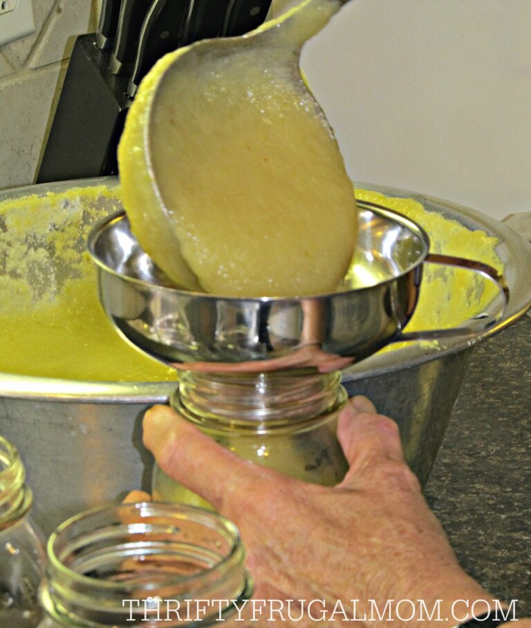 How to can applesauce a step by step tutorial thrity frugal mom