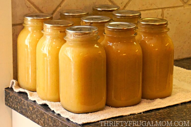 How To Can Applesauce a Step by step Tutorial Thrity Frugal Mom