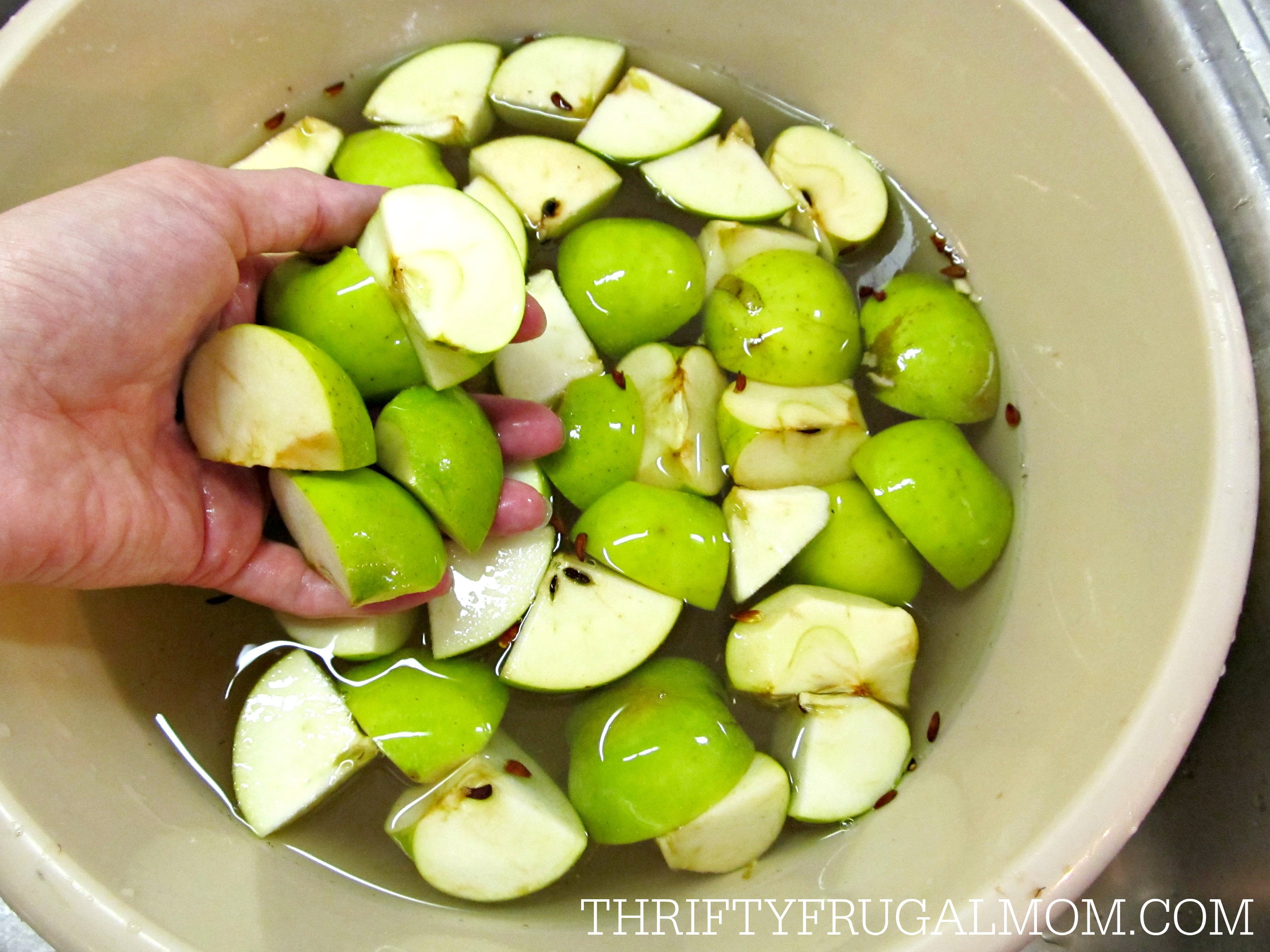 How to Can Applesauce (a step-by-step tutorial)- Thrity Frugal Mom