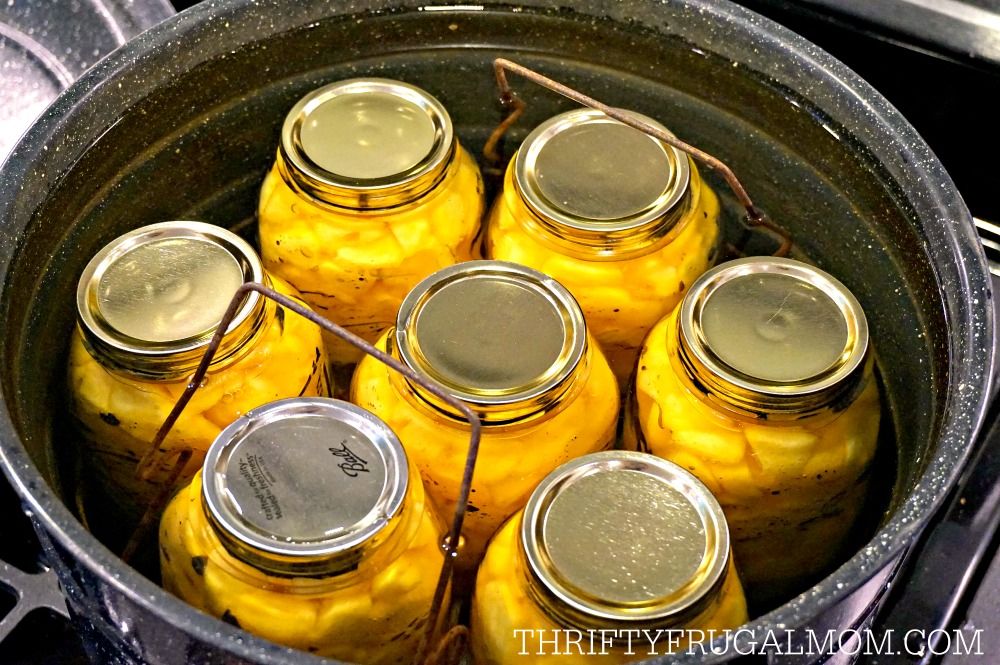 a waterbath canner full of canning jars filled with peaches
