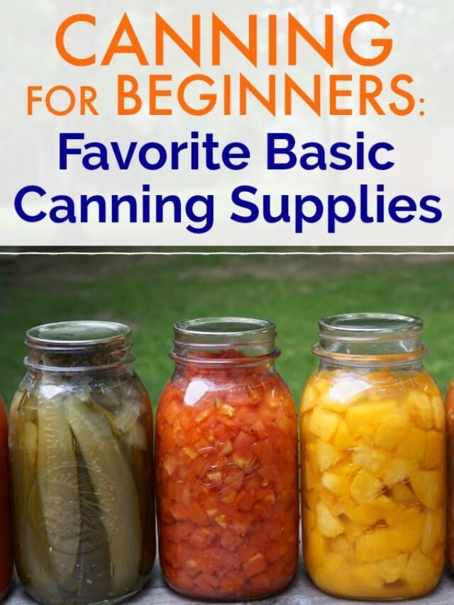 The Best Canning Supplies  for Beginners Story