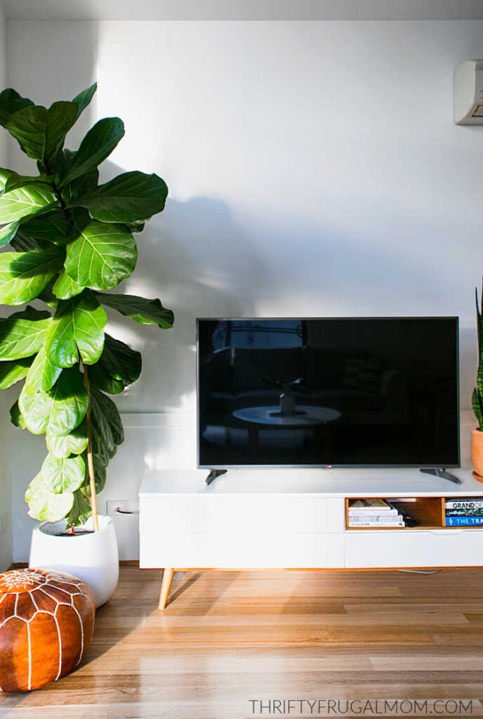 a sunny room with a tv on a white tv stand beside a tall plant