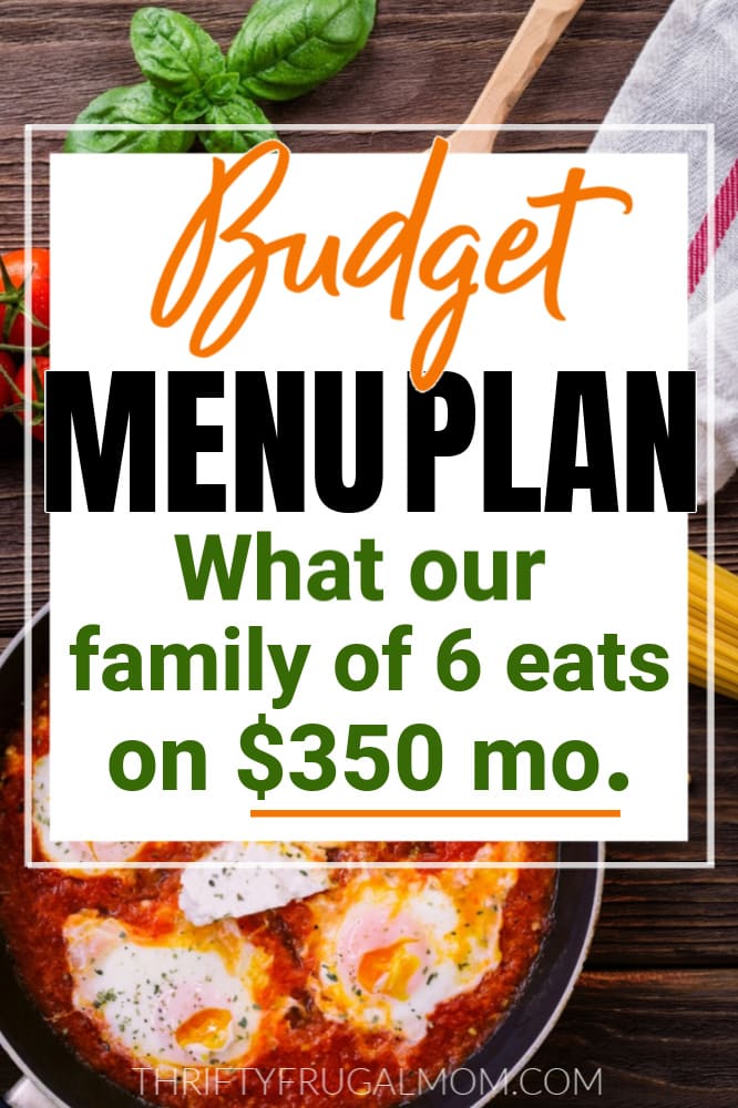 $350 budget menu plan for our family of 6 