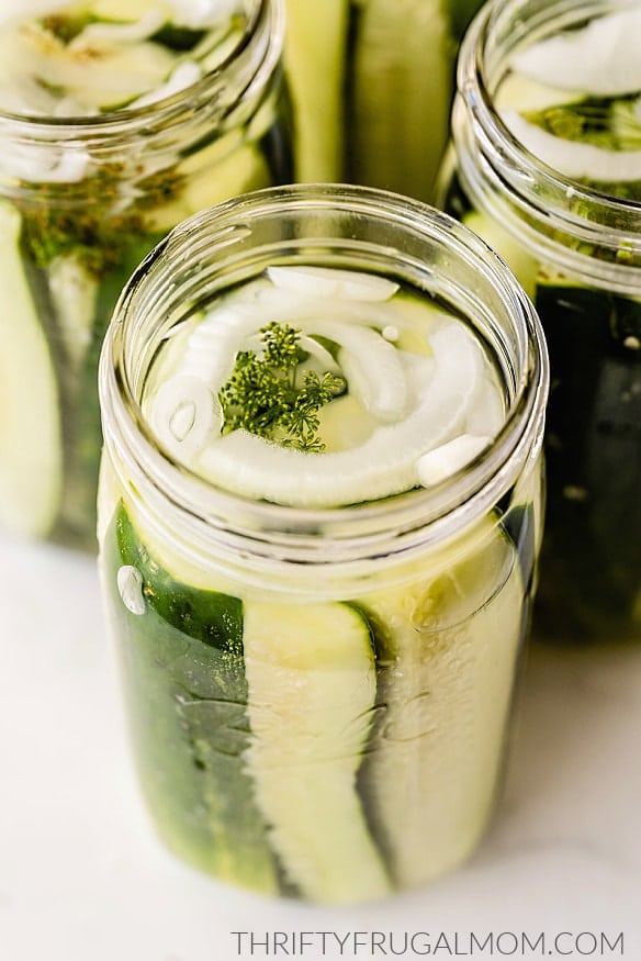 Sliced cucumbers in a canning jar with dill and sliced onions to make pickles