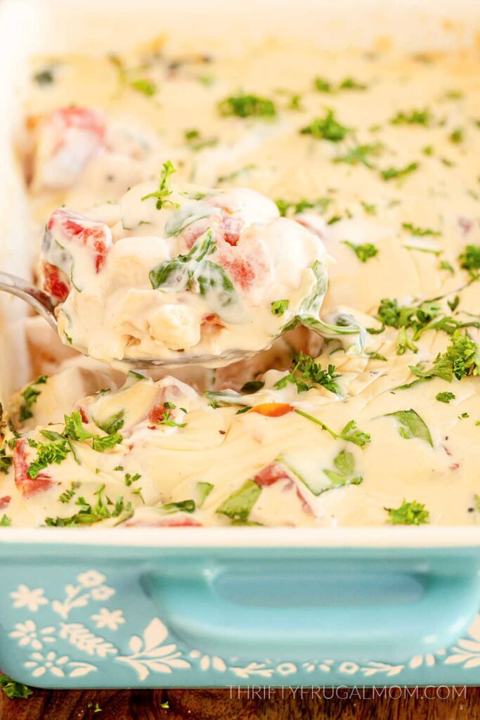 Bisquick Chicken Alfredo Casserole being spooned out of an aqua baking dish
