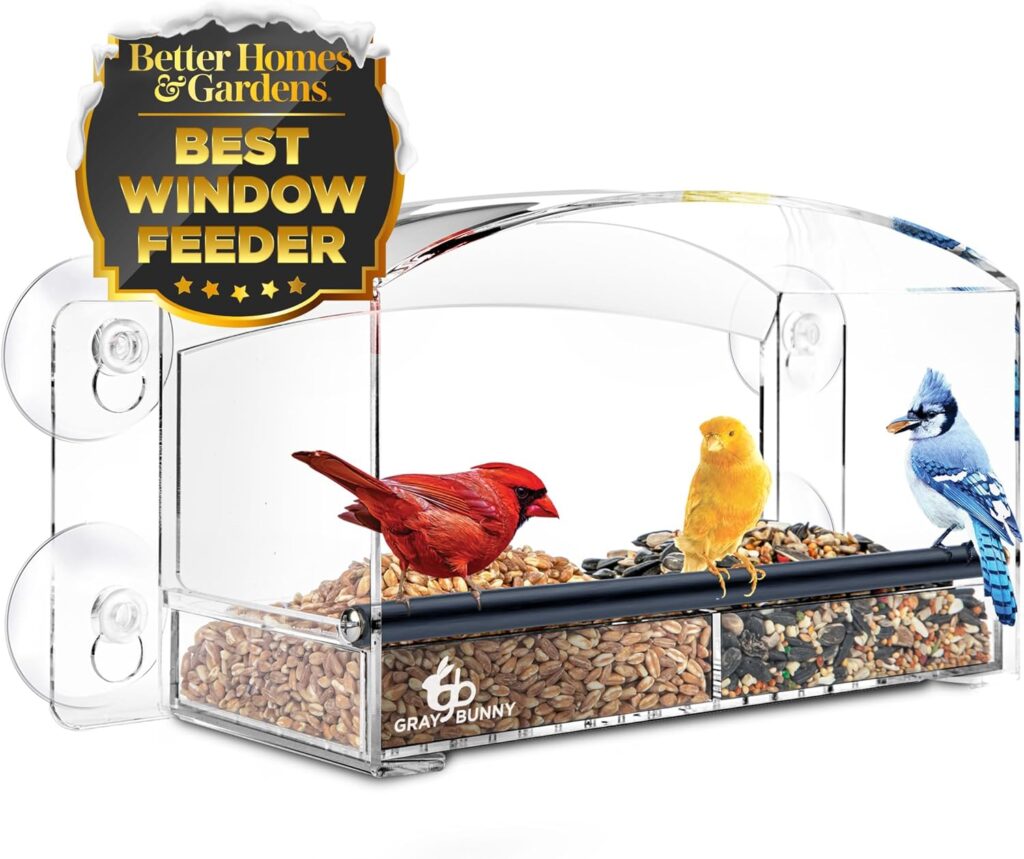 a clear window birdfeeder - great family gift