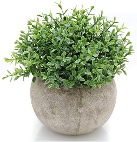 a fake greenery plant in a cement planter