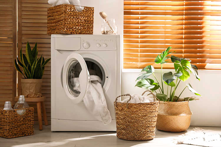 a bright natural laundry room with baskets and plants