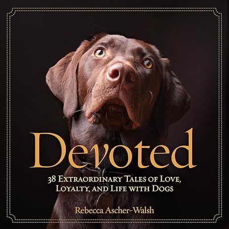 A dog book with a chocolate lab on the front. 