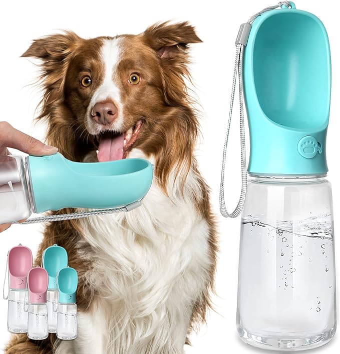 Holding a portable dog water bottle out beside of the dog- a great gift for dog owners