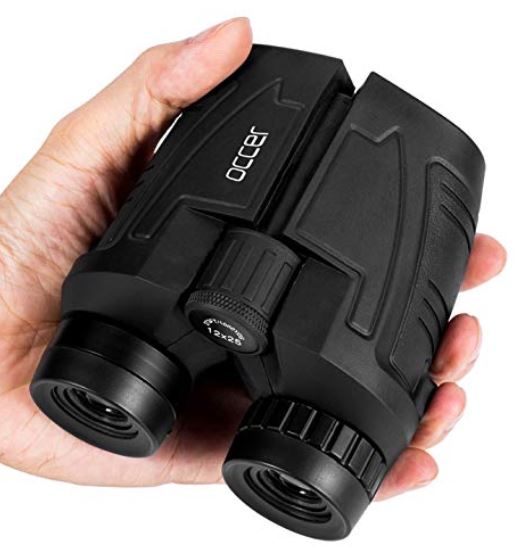 a hand holding a pair of black binoculars