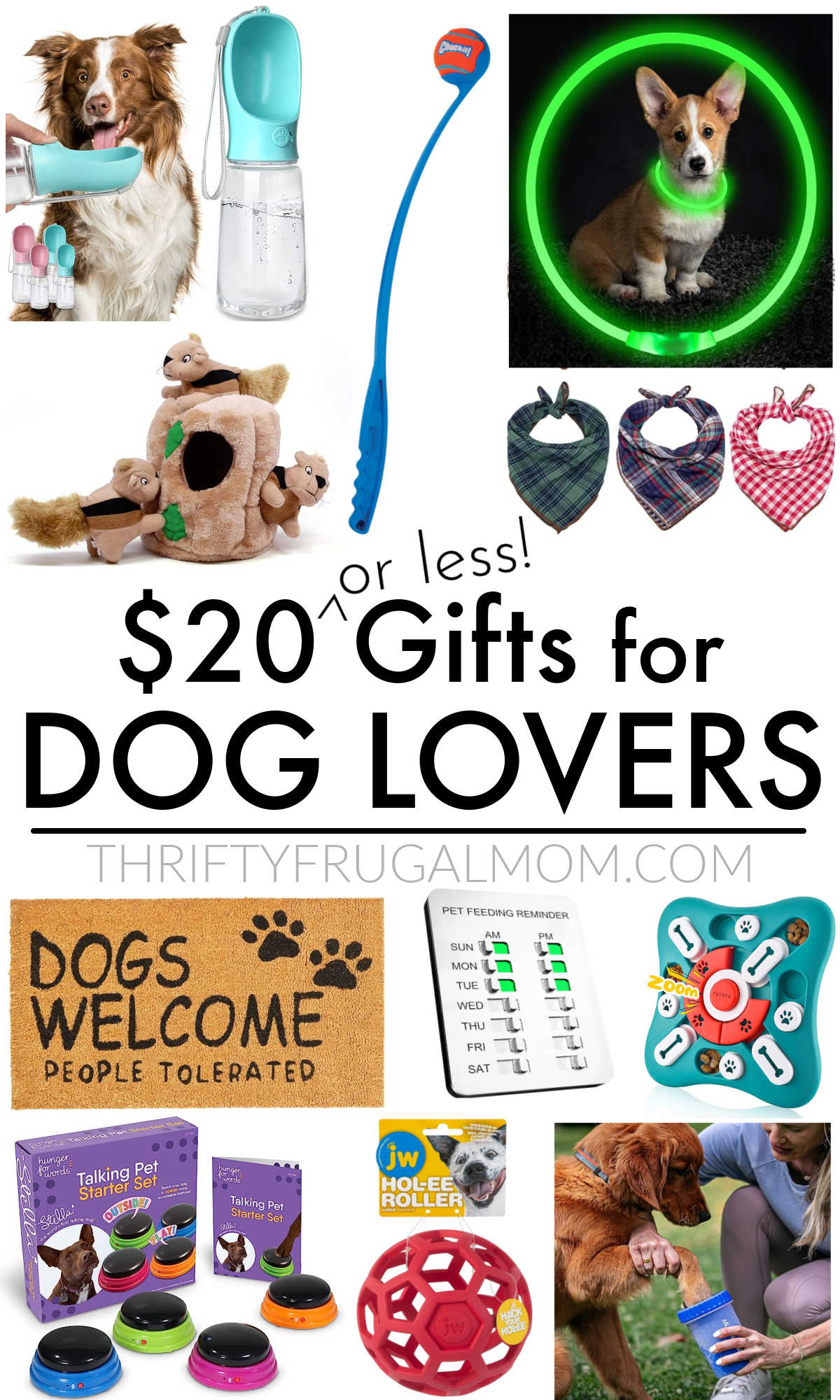 a collage of photos and text showing $20 or less Gifts for Dog Lovers